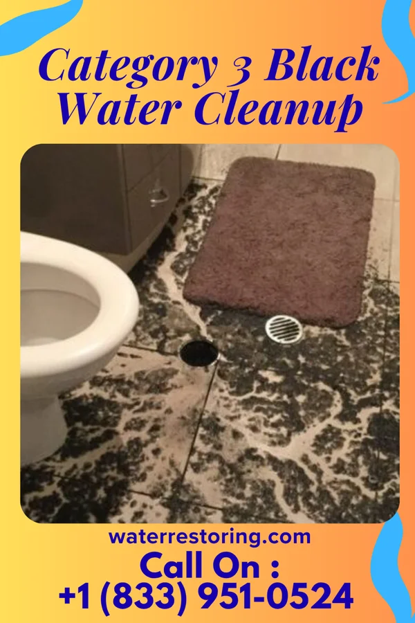 Category 3 Black Water Cleanup in Falmouth, KY