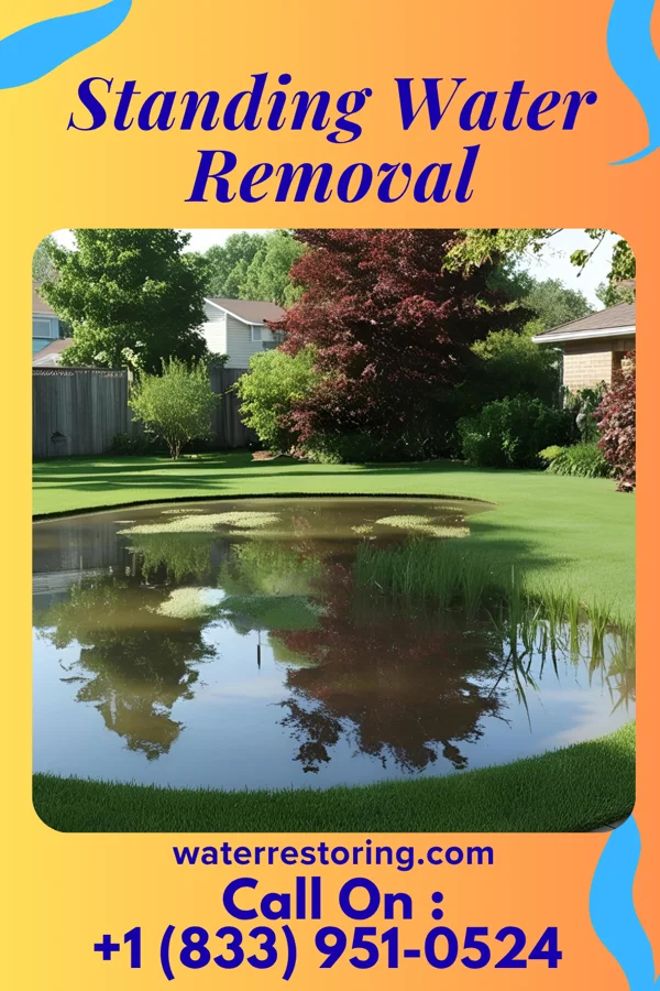 Standing Water Removal in Falmouth, KY